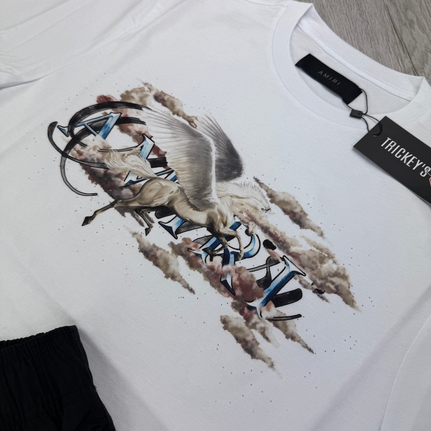 Amiri Men’s T-shirt & Swim Shorts Set