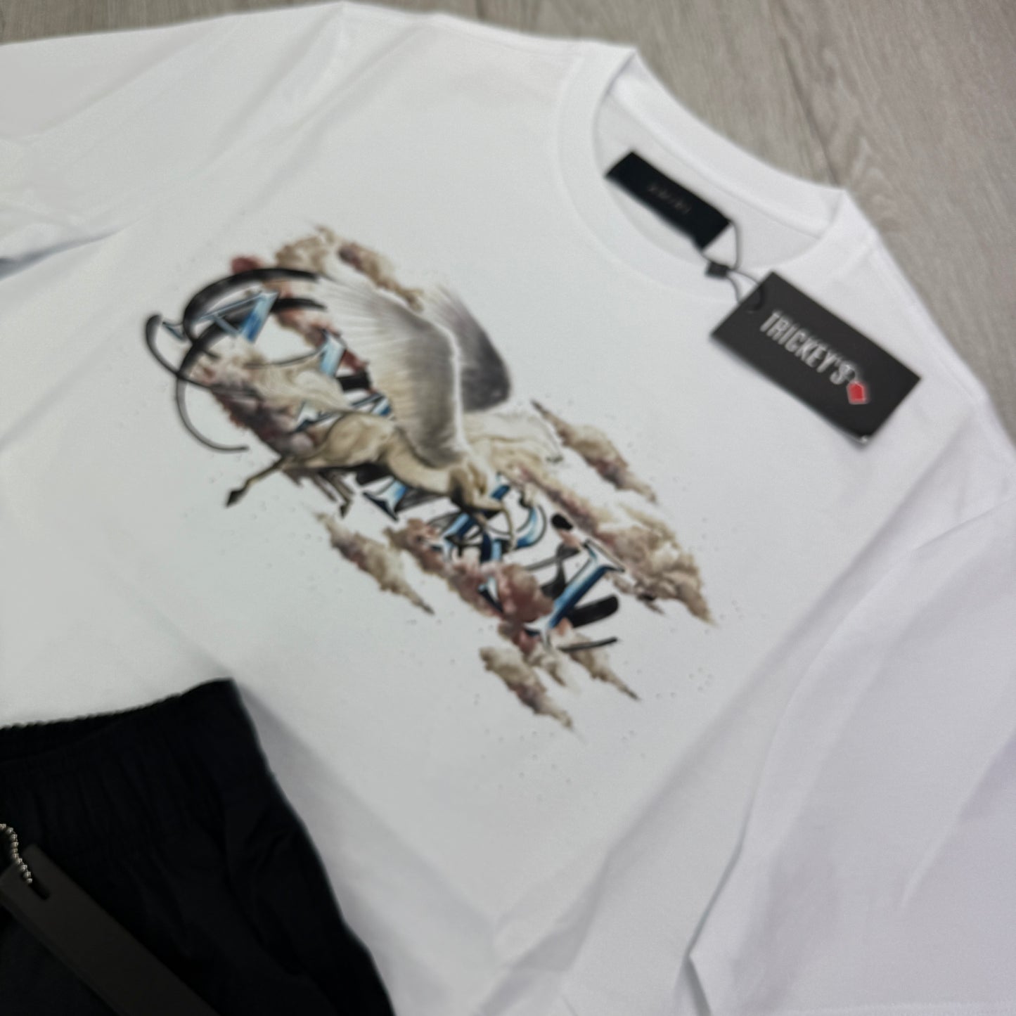 Amiri Men’s T-shirt & Swim Shorts Set