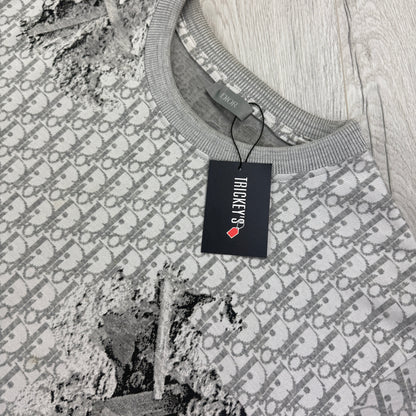 Dior Men’s Grey Oblique Daniel Arsham T-shirt - Large