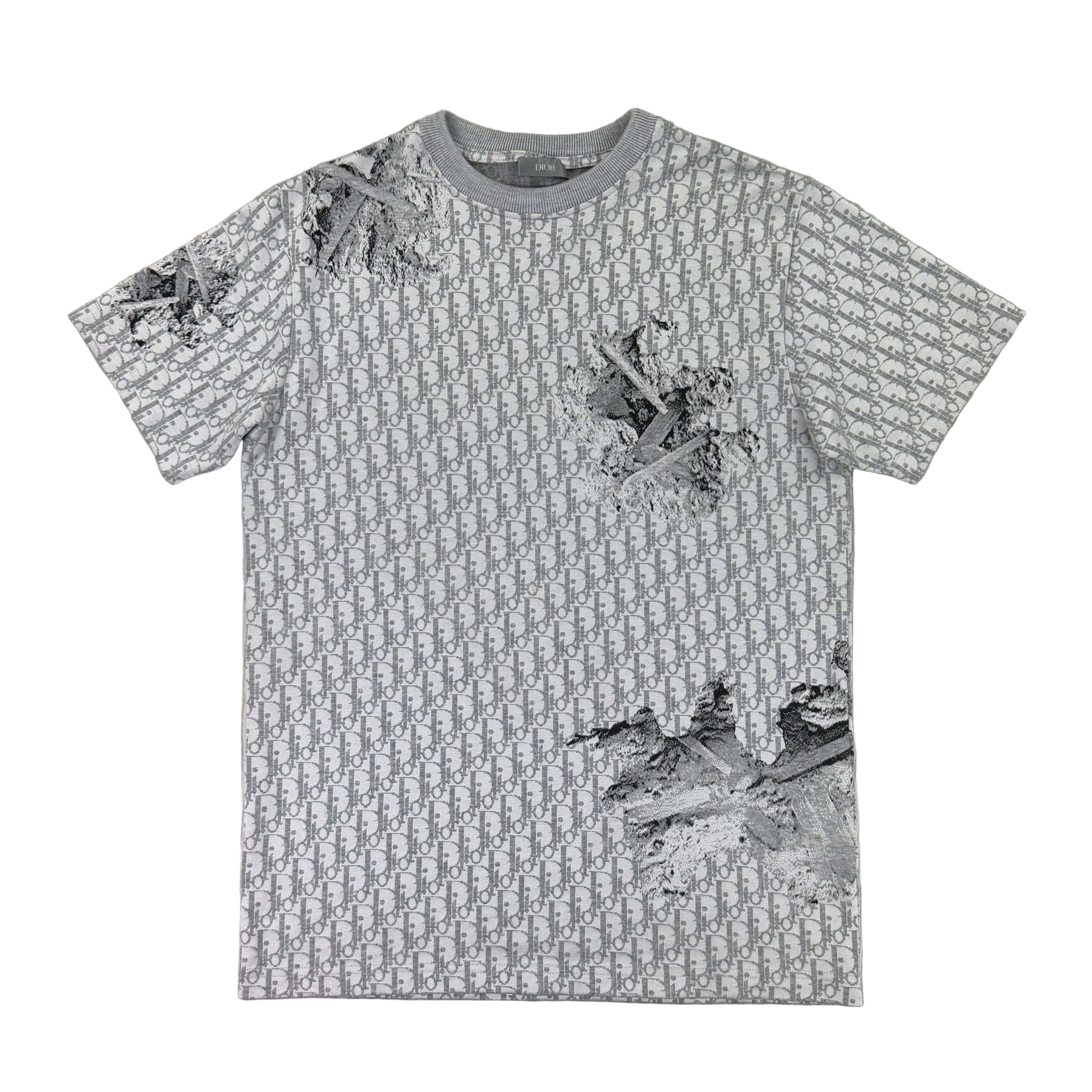 Dior Men’s Grey Oblique Daniel Arsham T-shirt - Small