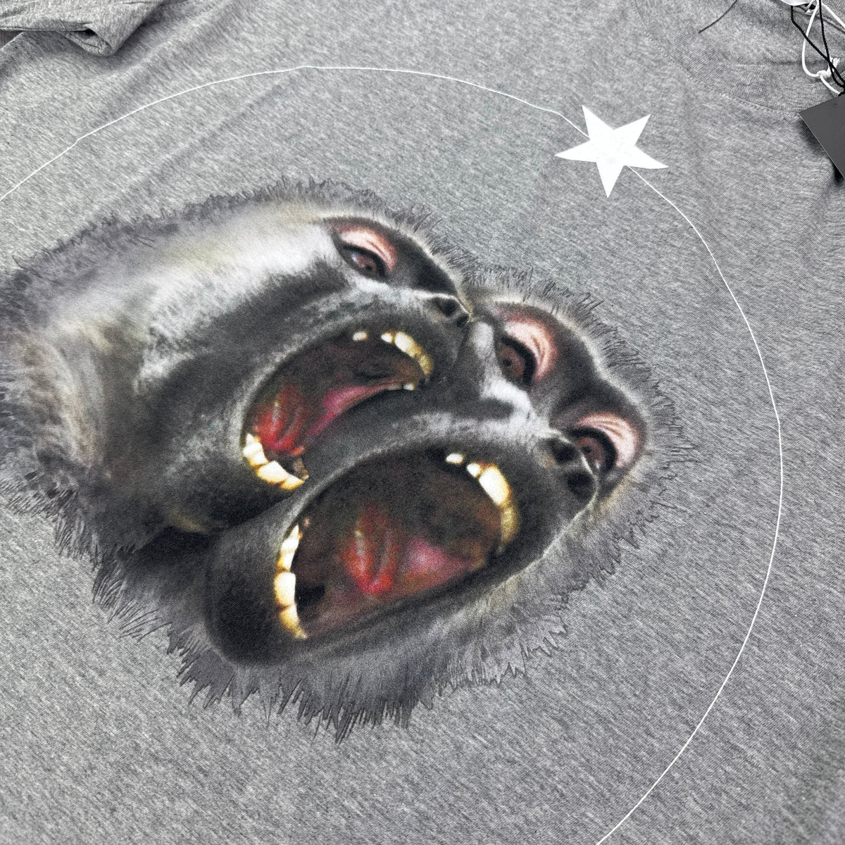 Givenchy Men’s Ape Twins Grey T-shirt Slim