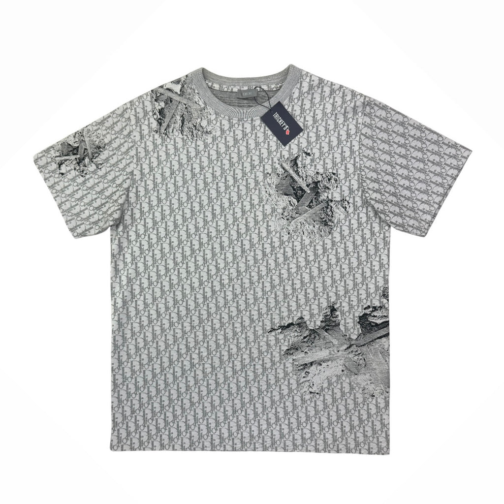 Dior Men’s Grey Oblique Daniel Arsham T-shirt - Small