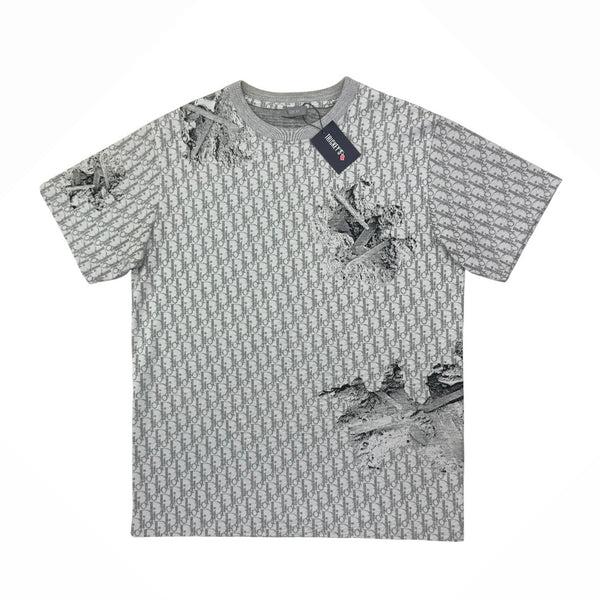 Dior Men’s Grey Oblique Daniel Arsham T-shirt - Small
