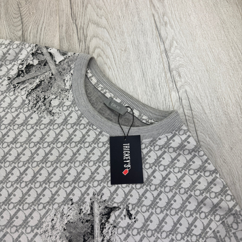 Dior Men’s Grey Oblique Daniel Arsham T-shirt - Small