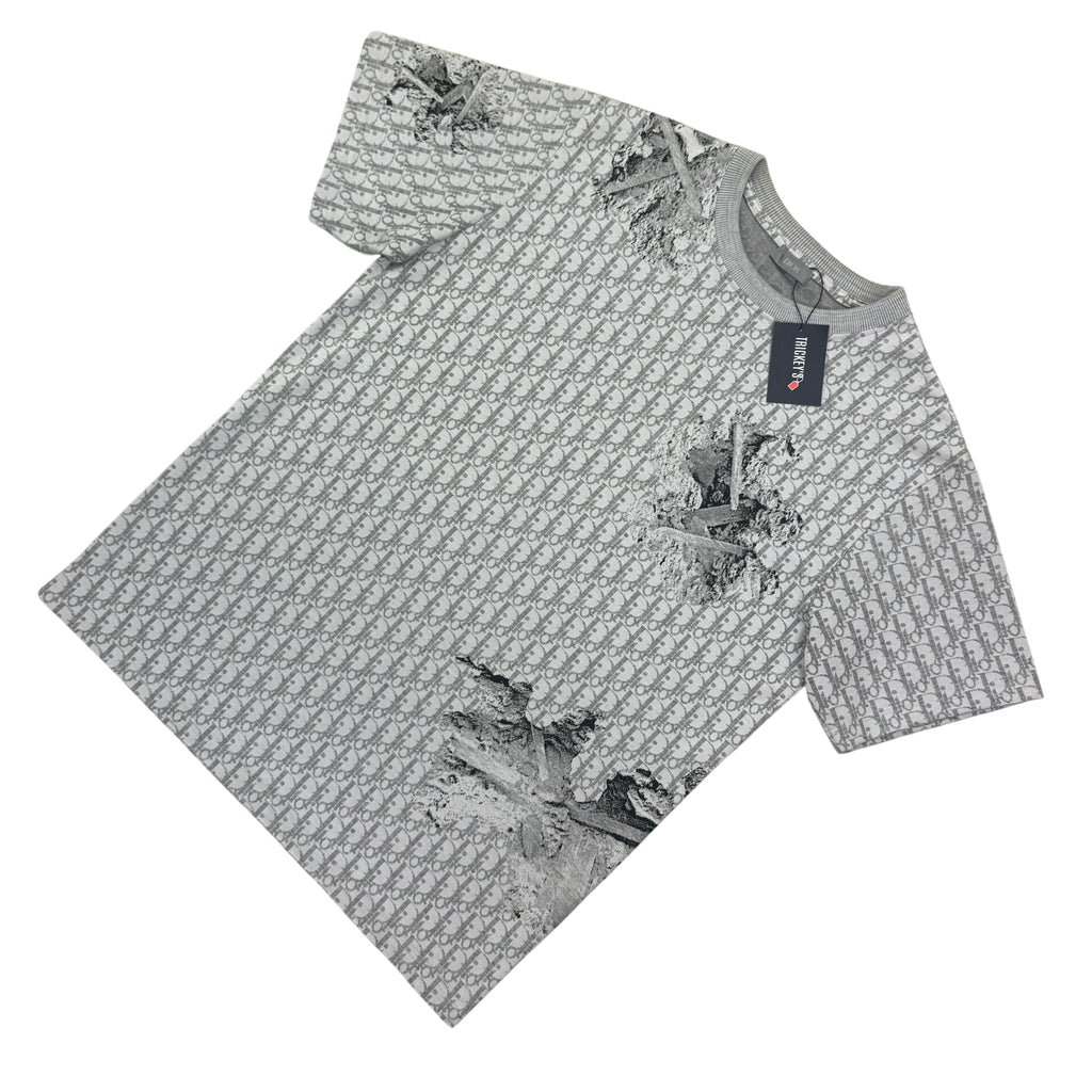 Dior Men’s Grey Oblique Daniel Arsham T-shirt - Small