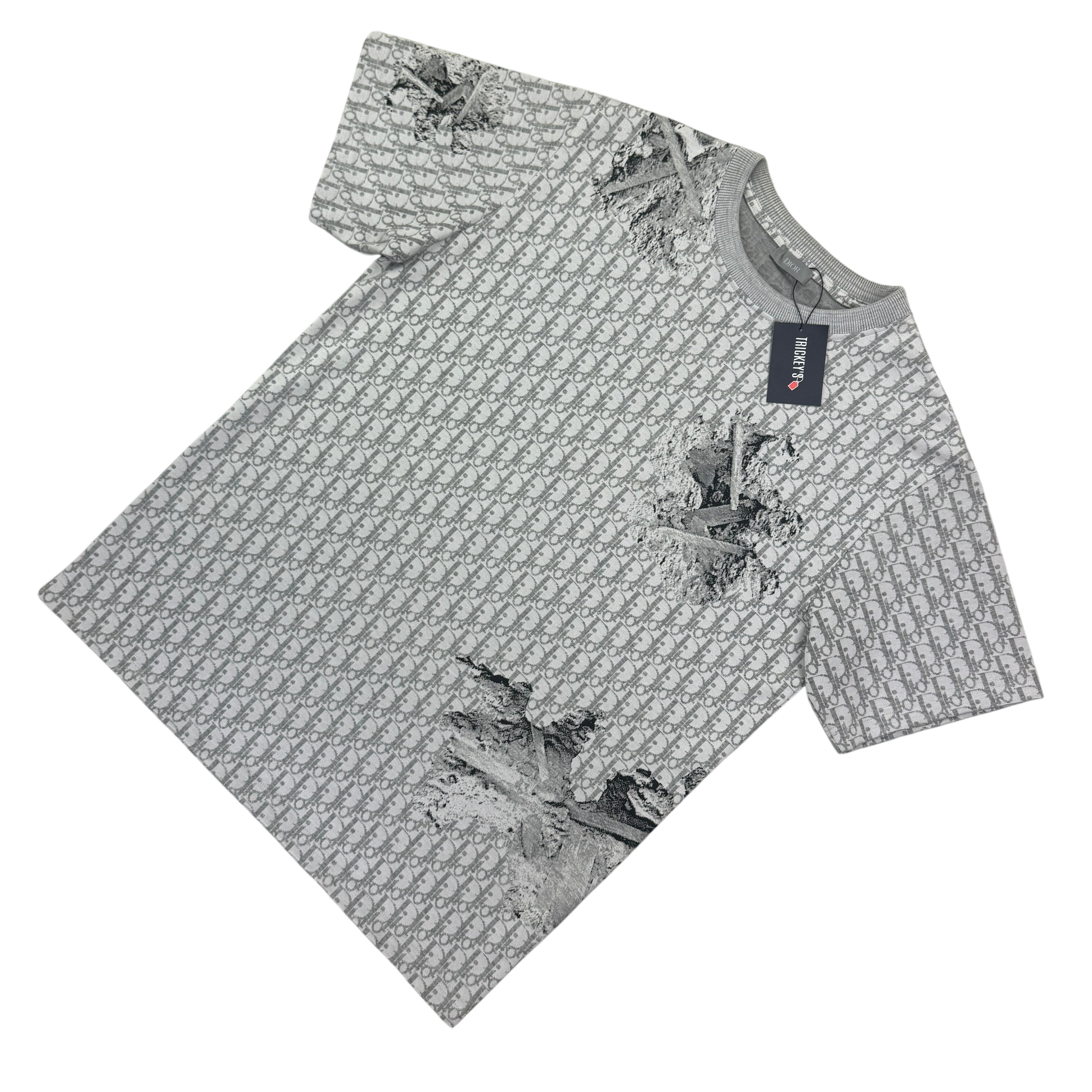 Dior Men’s Grey Oblique Daniel Arsham T-shirt - Small