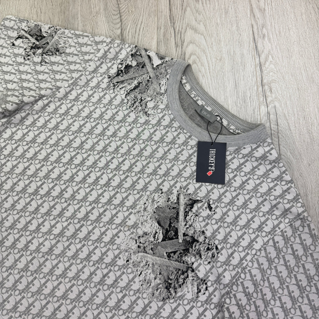 Dior Men’s Grey Oblique Daniel Arsham T-shirt - Small