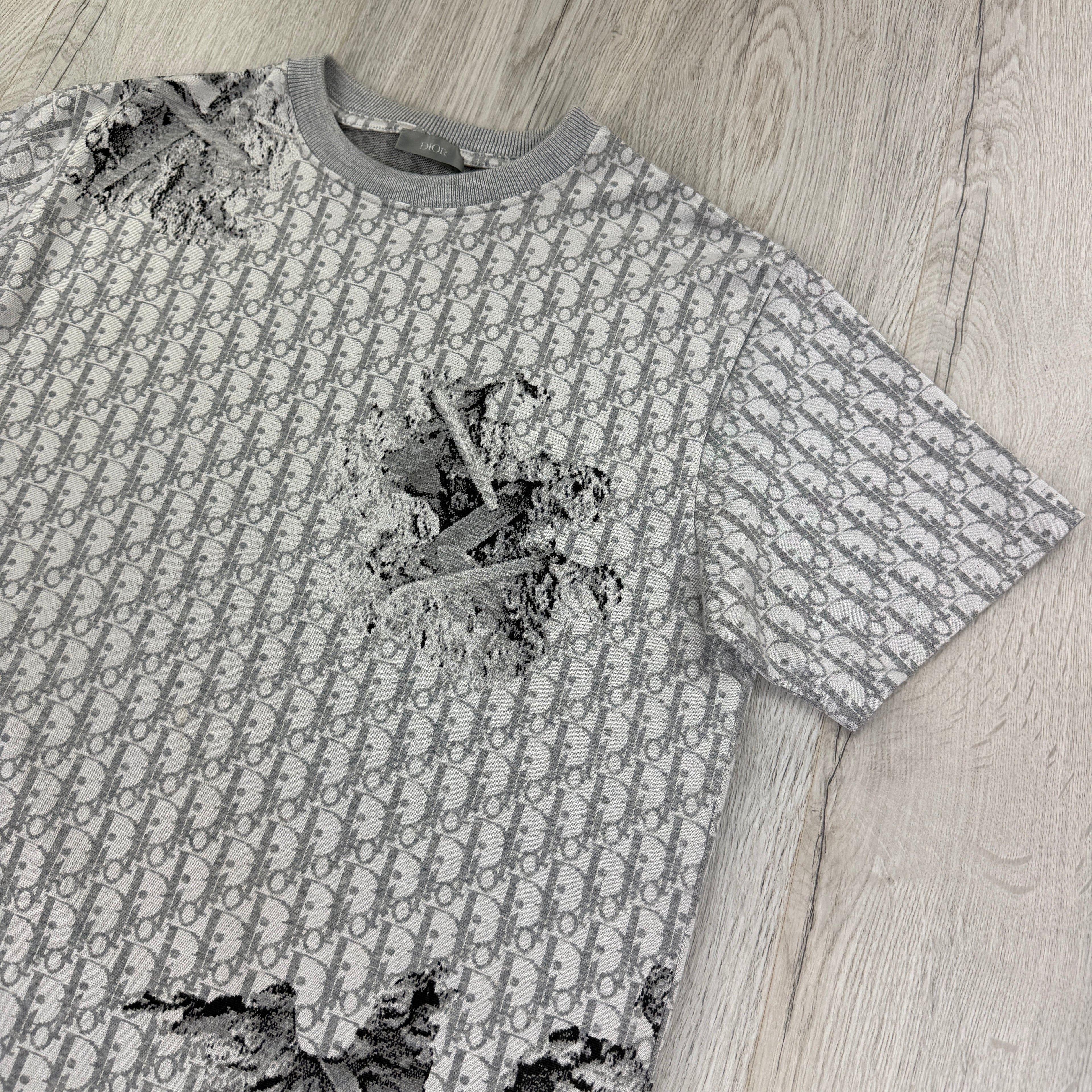 Dior Men’s Grey Oblique Daniel Arsham T-shirt - XS (Fit Small)