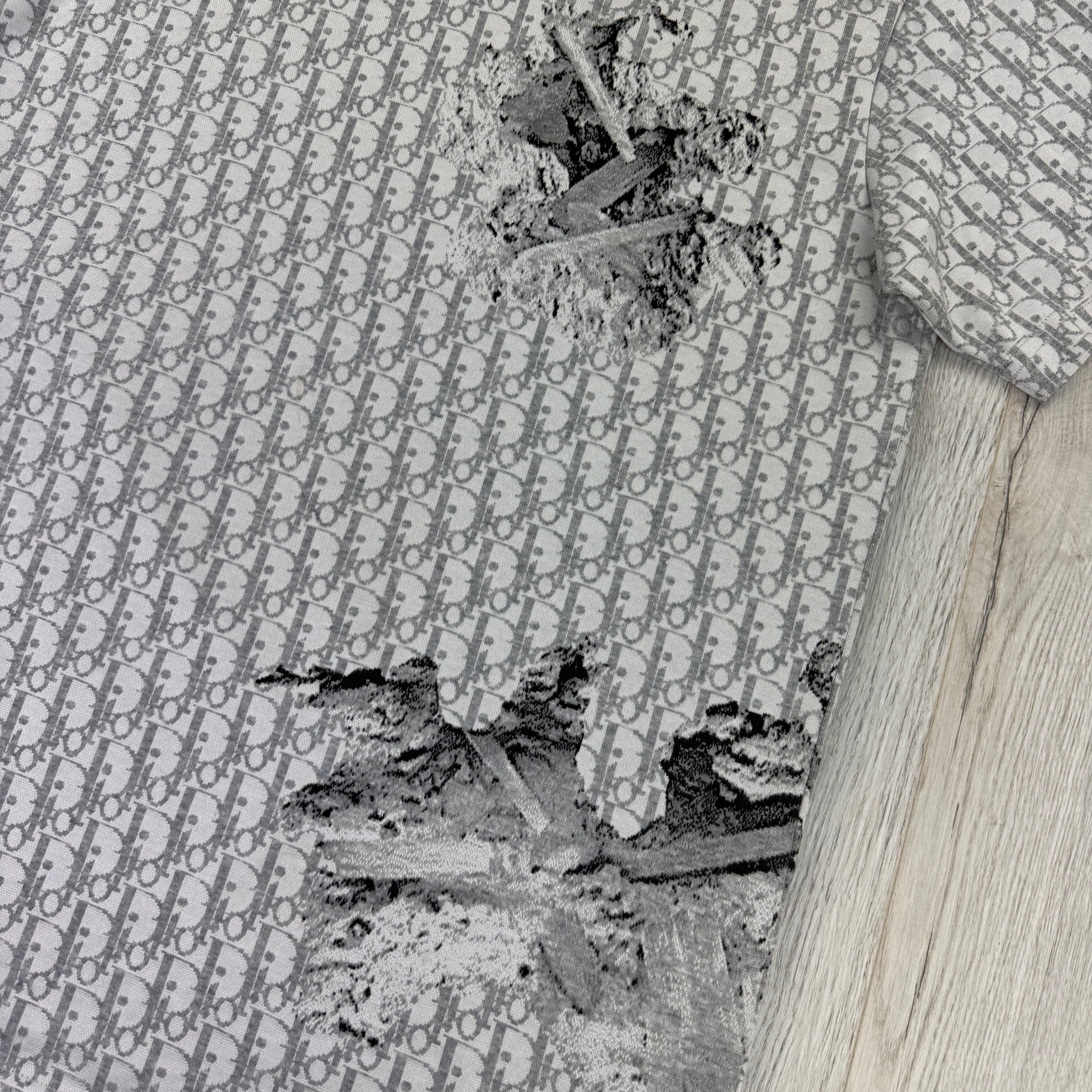 Dior Men’s Grey Oblique Daniel Arsham T-shirt - Small