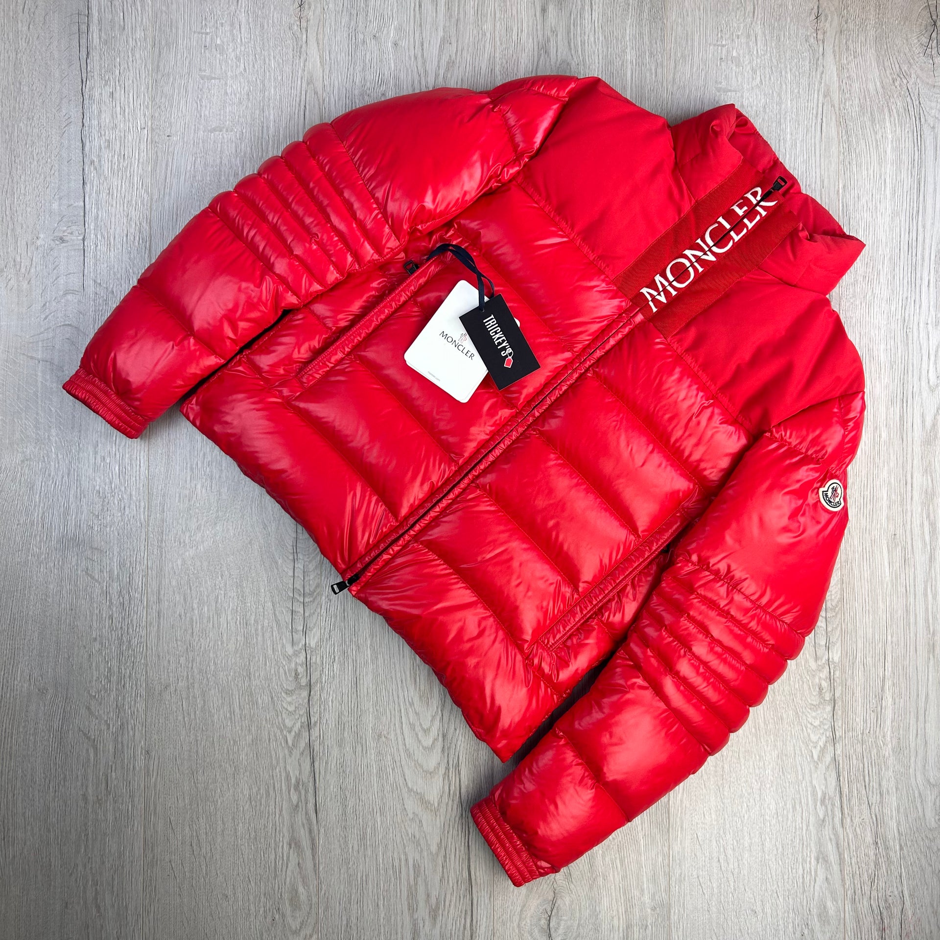 Moncler bruel down jacket sales